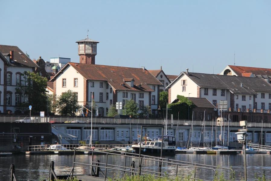 Bild von der Neckarwiese auf Heidelberger Bootsvereine nahe des BS Boutique Hotel in Heidelberg Neuenheim.
